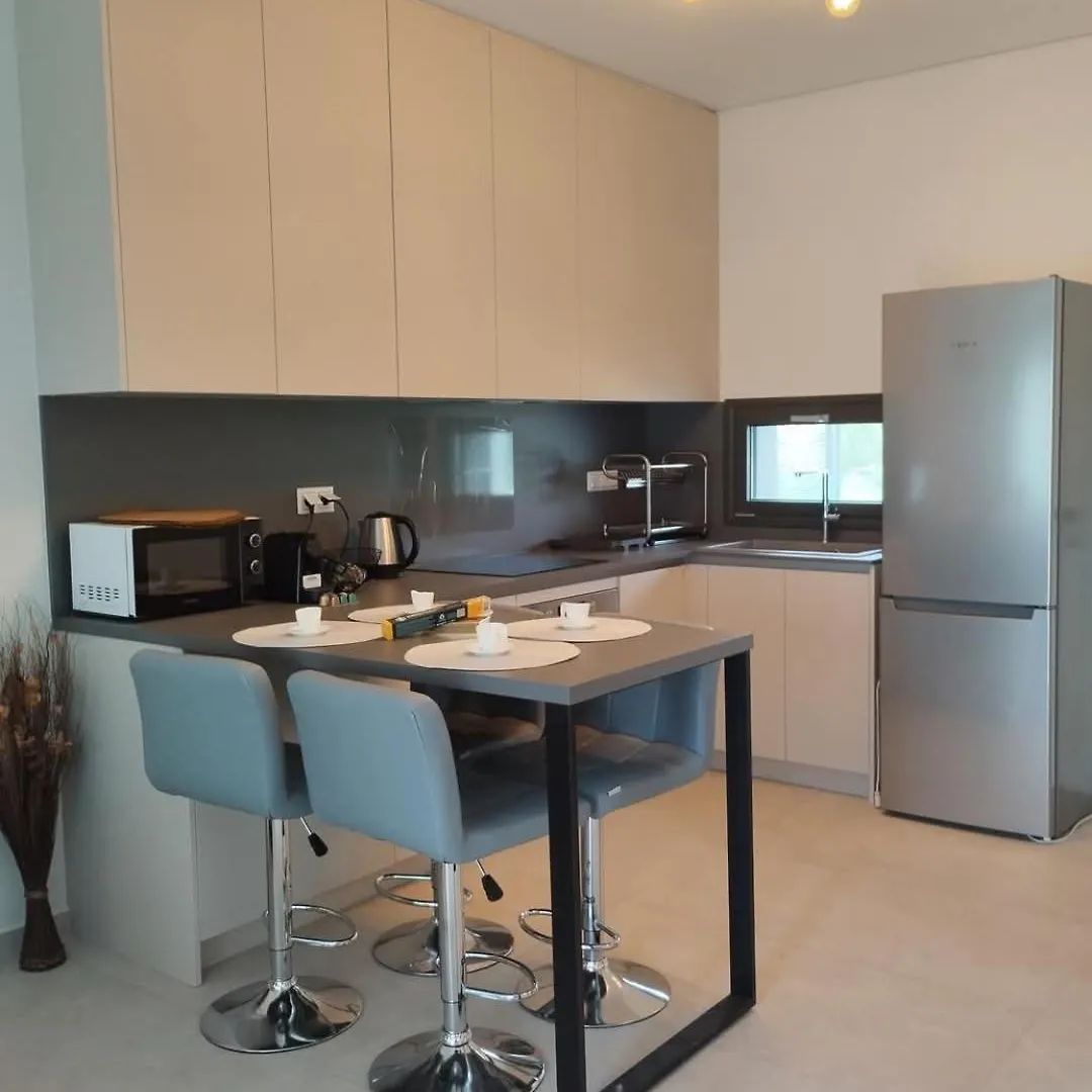 3 Bedroom Penthouse In Nikiti Apartment